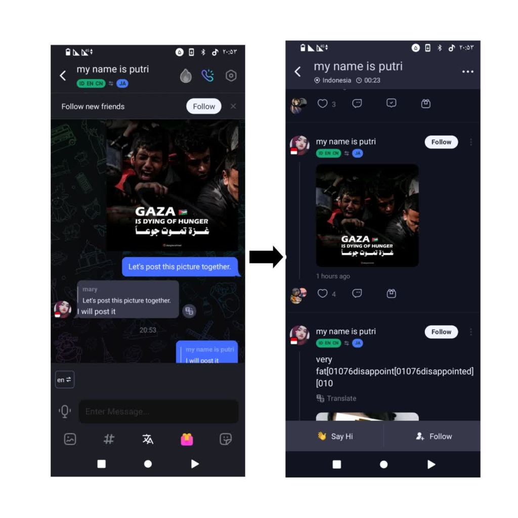 همکاری کاربری از کشور اندونزی